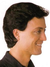 Brown Synthetic Wigs for Male - Short Straight Cut