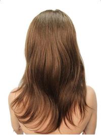 Long Brown Wig Straight Human Hair Without Bangs